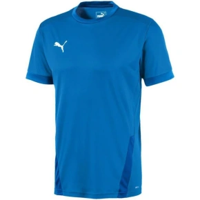 Puma teamGOAL 23 Jersey M 704171 02 pánske dresy