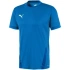 Puma teamGOAL 23 Jersey M 704171 02 pánske dresy