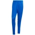 Nohavice adidas Squadra 25 Training M JP3152