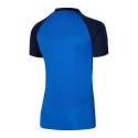 Pánske tričko Dri-FIT Academy Pro M DH9228-463 - Nike