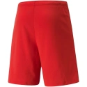Pánske teamRISE Short M 704942 01 - Puma