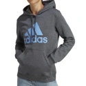 Dámske topánky Big Logo FL R HD W IC9845 - Adidas