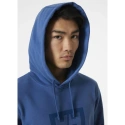 Pánska mikina Box Hoodie M 53289 636 - Helly Hansen