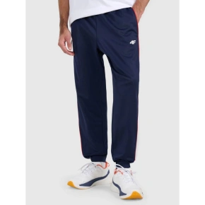 Pánske tepláky typu jogger 4F 4FRAW25TTROM1611-31S Pánske tepláky typu jogger 4F 4FRAW25TTROM1611-31S