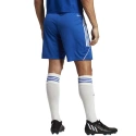 Pánske šortky Tiro 23 League M IB8084 - ADIDAS