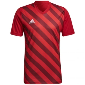 Pánsky dres Entrada 22 Graphic Jersey M HB0572 - Adidas
