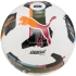 Puma Orbit 4 HYB FIFA Basic Futbal 84326 01