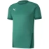 Puma teamGOAL 23 Jersey M 704171 05 pánske dresy