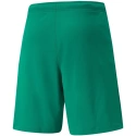 Pánske teamRISE Short M 704942 05 - Puma