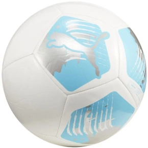 Puma Big Cat Futbal 84214 04