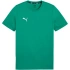 Puma Team Goal Casuals Tee M 658615 05 muži