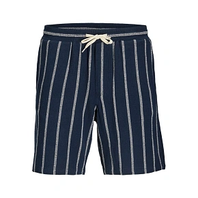 Jack&Jones pánske pruhované šortky JPSTJAIDEN COBA STRIPE JOG SHORTS REG SN SN 12274413 SKY CAPTAIN/STRIPES Jack&Jones pánske pruhované šortky JPSTJAIDEN COBA STRIPE JOG SHORTS REG SN SN 12274413 SKY CAPTAIN/STRIPES