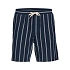 Jack&Jones pánske pruhované šortky JPSTJAIDEN COBA STRIPE JOG SHORTS REG SN SN 12274413 SKY CAPTAIN/STRIPES