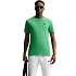 Pánske tričko Nike Club Tee, zelené, AR4997 306