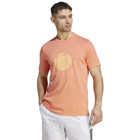 Pánske tričko RM Sun Graphic Tee M HZ9014 - Adidas