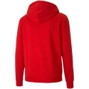 Pánske tričko teamGoal 23 Casuals Hooded M 656708 01 - Puma