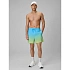 Pánske plážové šortky boardshorts 4F 4FRSS26UBDSM224-31S