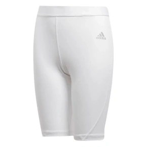 Detské futbalové šortky ASK Short Tight CW7351 - Adidas