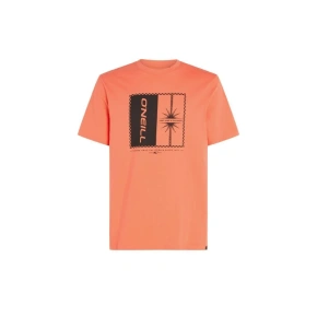O'Neill Mix & Match Palm T-Shirt M 92800613905 O'Neill Mix & Match Palm T-Shirt M 92800613905