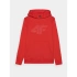 Mikina 4F M 4FWMM00TSWSM1464-70S men