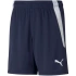 Puma teamLIGA Šortky Jr 704931 06