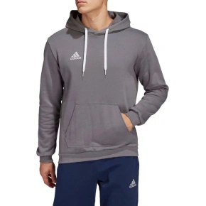 Pánske tričko Entrada 22 Sweat M HB0578 - Adidas