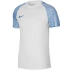 Pánske Nike Dri-FIT Academy Jsy SS M DH8031 102