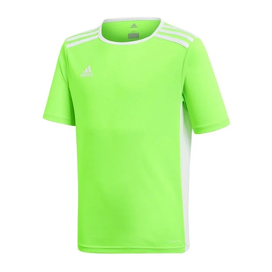 Detský dres Entrada 18 Jr CE9755 - Adidas