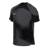 Pánske brankárske tričko Dri-FIT ADV Gardien 4 M DH7760-060 - Nike