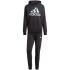 Froté tepláky Adidas Big Logo M IJ8555