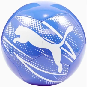 Puma Attacanto futbal 84073 13