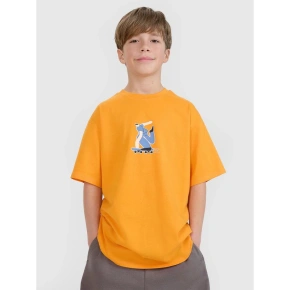 Chlapčenské tričko s potlačou 4F 4FJRSS25TTSHM2641-70S Chlapčenské tričko s potlačou 4F 4FJRSS25TTSHM2641-70S