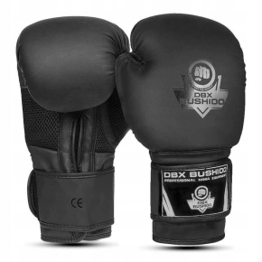 Boxerské rukavice 10oz - Black Master - Valor Series