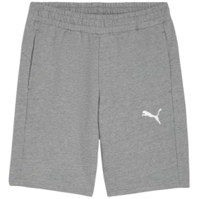 Puma pánske teamGOAL Casuals sivé 658608 33