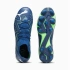 Puma Future Match FG/AG M 107370-03