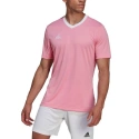 Pánske tričko Entrada 22 Jersey M HC5072 - Adidas
