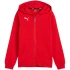 Puma teamGoal Casuals červená 658596 01