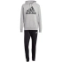 Tepláková súprava adidas Big Logo Terry M IC6749