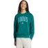 Pánska mikina adidas Collegiate Sweatshirt green JM1733 pánska