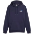 Pánska mikina Puma ESS+ 2 Col Small Logo Hoodie FL M 674471 06