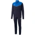 Pánske tepláky IndividualRISE M 657534 02 - Puma