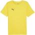 Puma teamRISE Matchday Jersey M 706132 07 muži