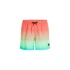 O'Neill Jack Cali Gradient 15'' plavecké šortky M 92800613575