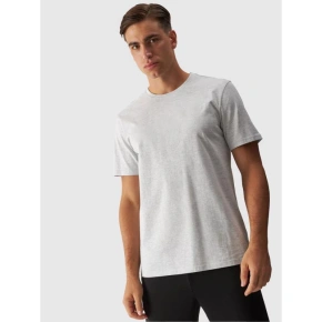 Pánske tričko s potlačou 4F 4FWMM00TTSHM1844-27M pánske