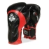 Boxerské rukavice 10oz - Blaze Red - Legacy Series