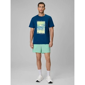 Pánske plážové šortky boardshorts 4F 4FRSS26UBDSM229-33S