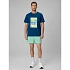 Pánske plážové šortky boardshorts 4F 4FRSS26UBDSM229-33S