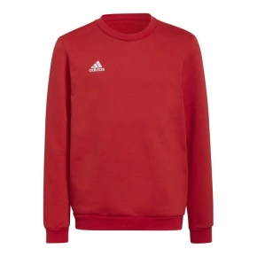 Detská mikina Entrada 22 Sweat Jr H57473 - Adidas