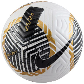 Futbalový loptový kôš Nike FB2894-103
