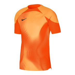 Pánske brankárske tričko Dri-FIT ADV Gardien 4 M DH7760-819 - Nike